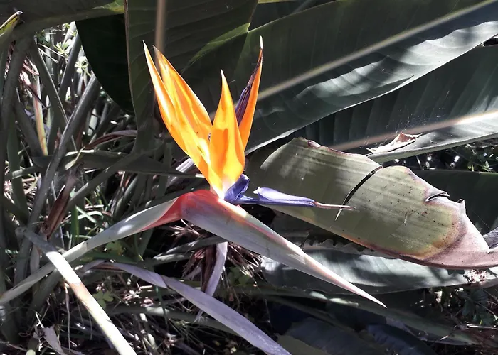 Σπίτι διακοπών Heaven House