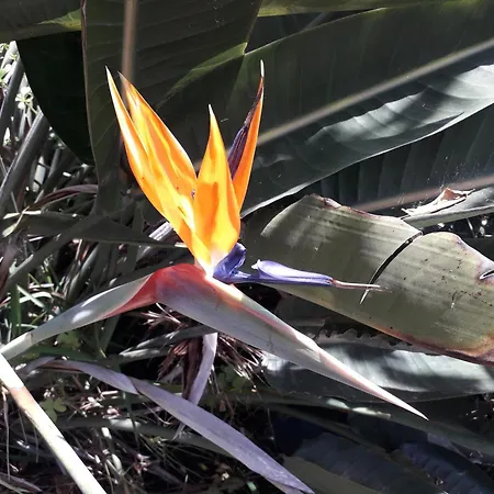 度假居 Heaven House